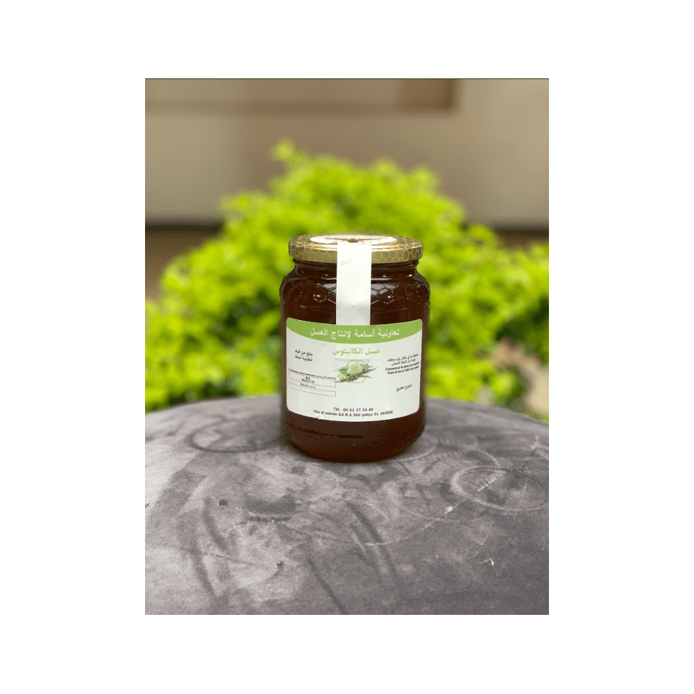 Miel d'Eucalyptus moyen Miel d'Eucalyptus moyen