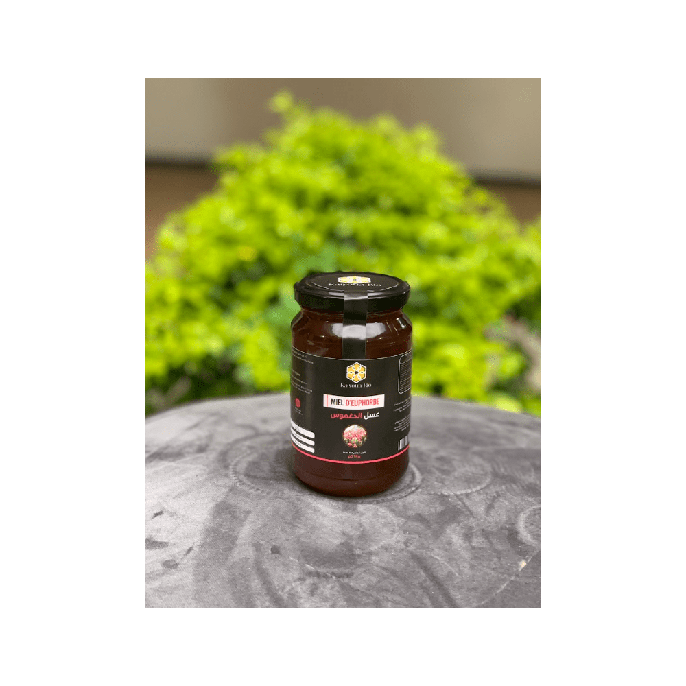 Le miel d'euphorbe 500g Le miel d'euphorbe 500g