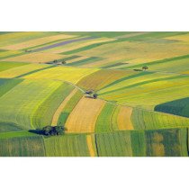 Terrains agricoles