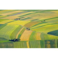 Terrains agricoles