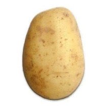 Pomme de terre