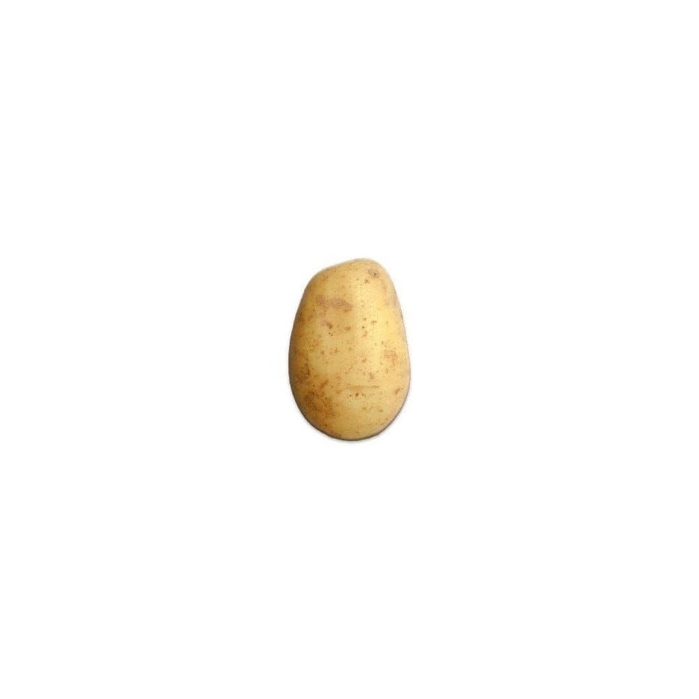 Pomme de terre