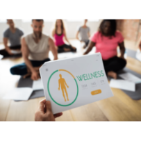 Coaching en Bien-être