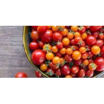 Tomates cerises