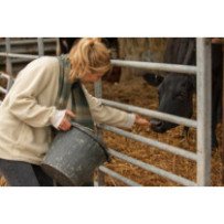 Aliments pour Démarrage