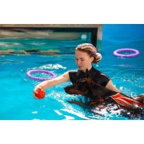 Rééducation Aquatique