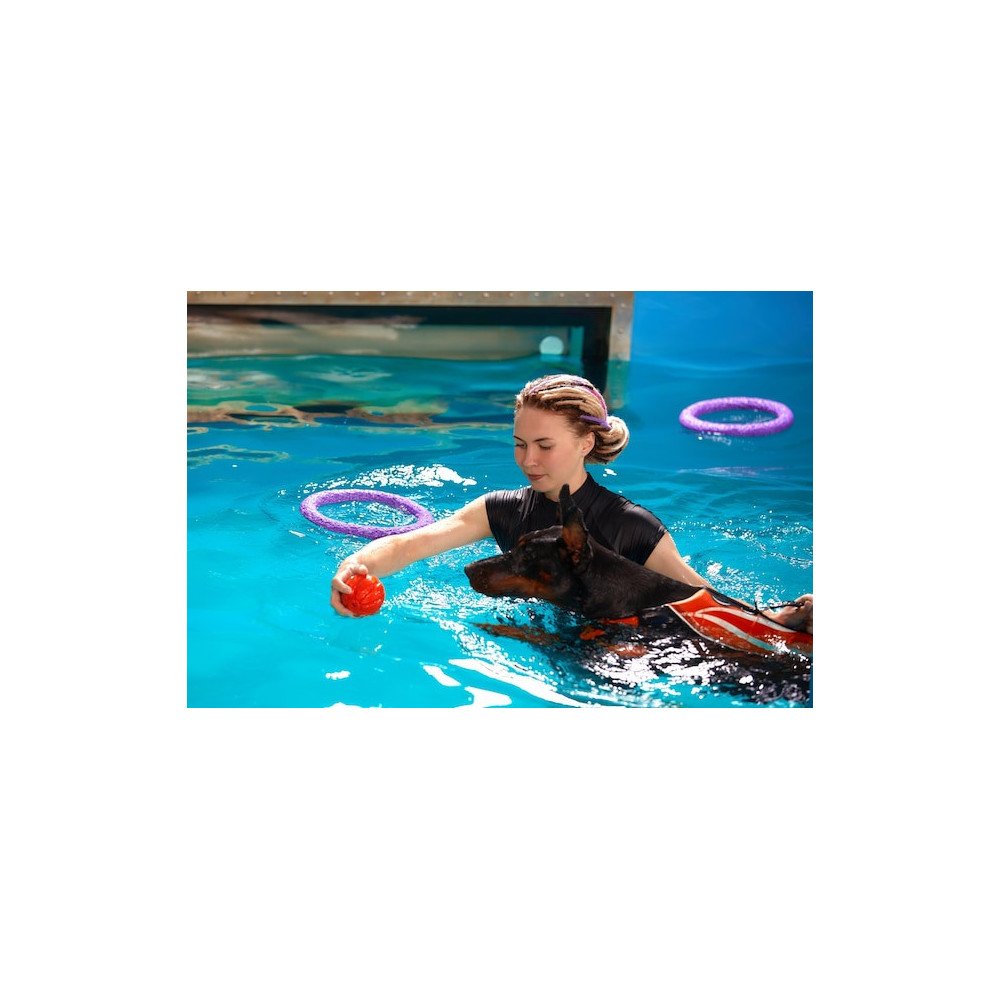 Rééducation Aquatique Rééducation Aquatique