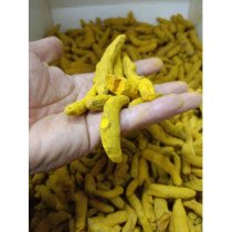 Curcumin