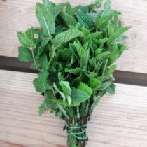 Menthe Bio