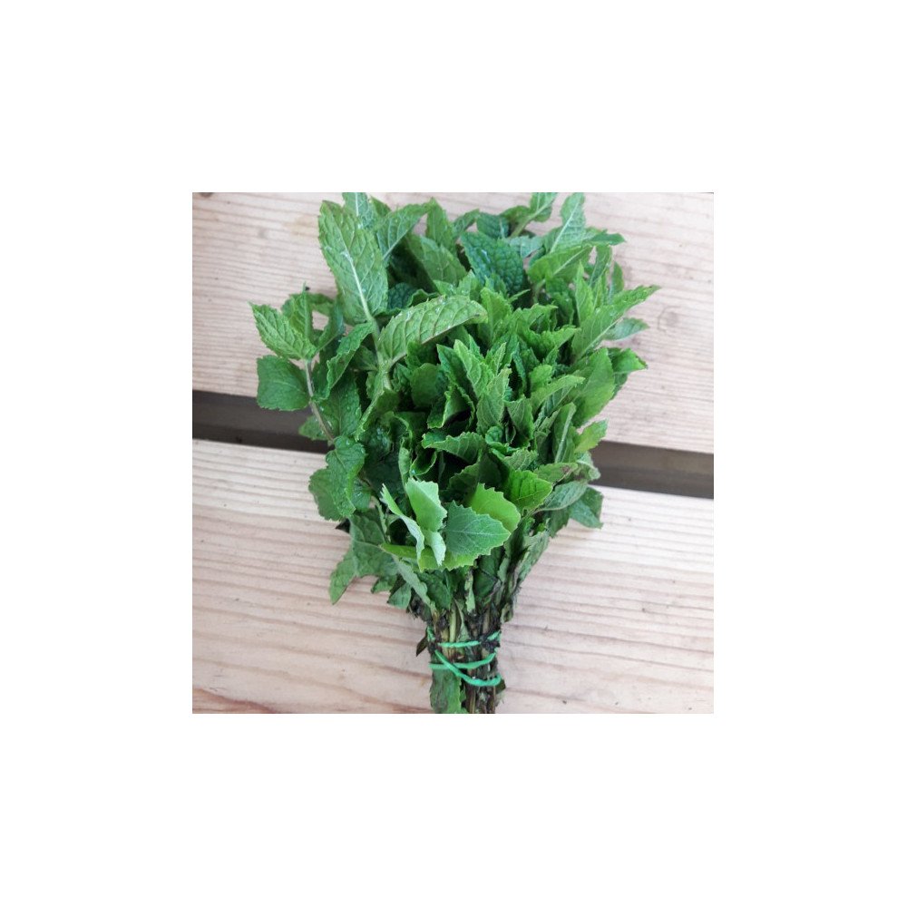 Menthe Bio Menthe Bio
