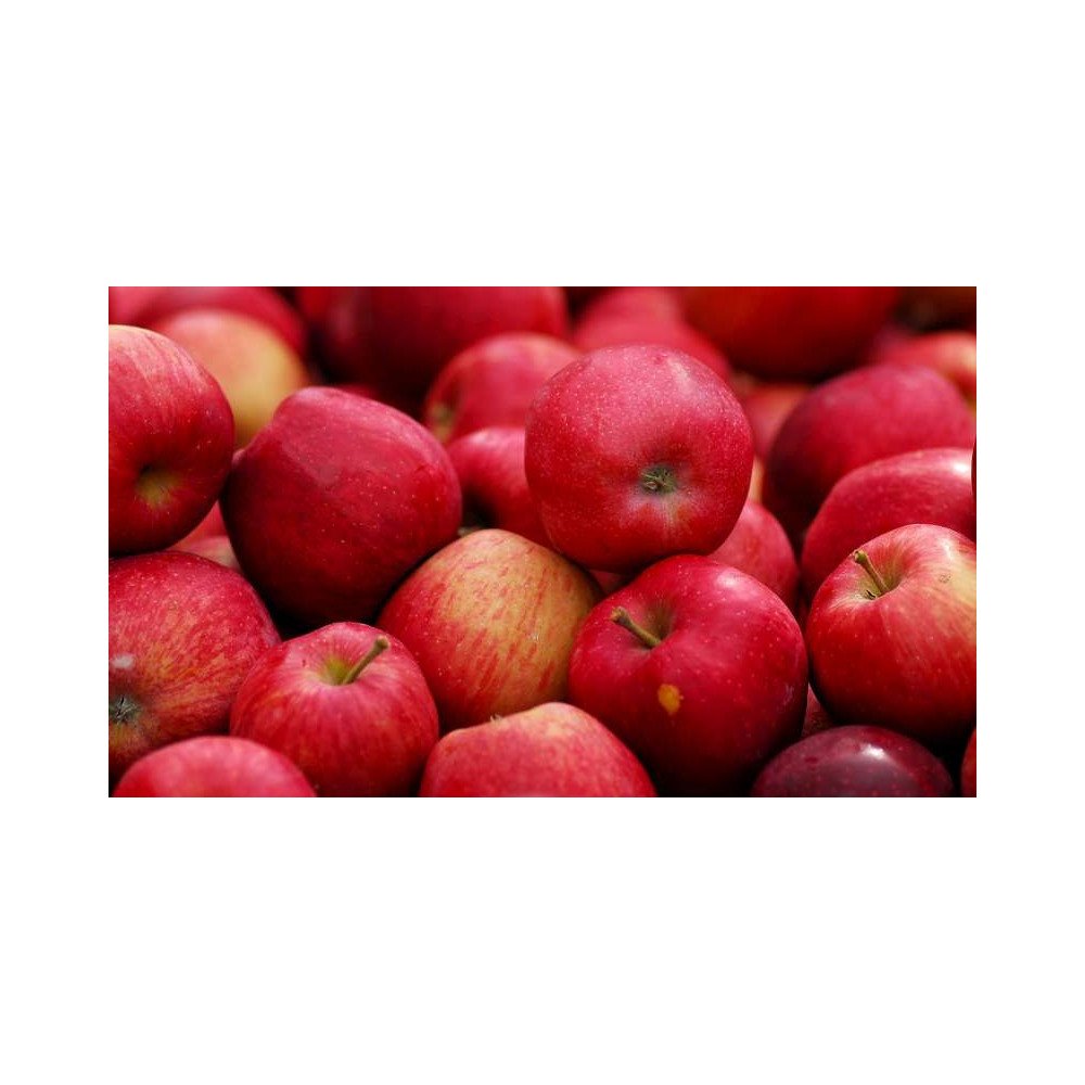 Pommes Pommes