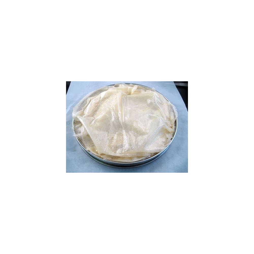 Feuille pastilla Feuille pastilla
