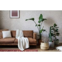 Rénovation Méridiennes et Banquettes