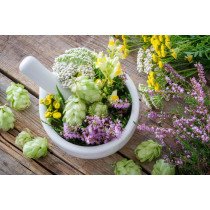 Plantes médicinales