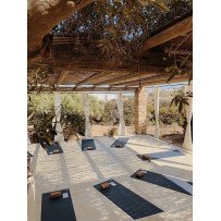 Séances de Yoga et de Méditation