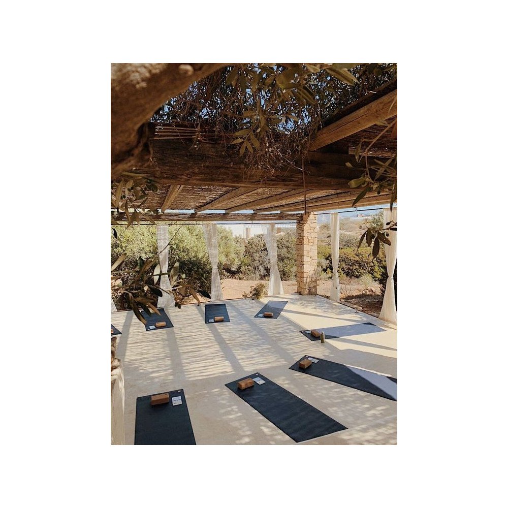 Séances de Yoga et de Méditation Séances de Yoga et de Méditation