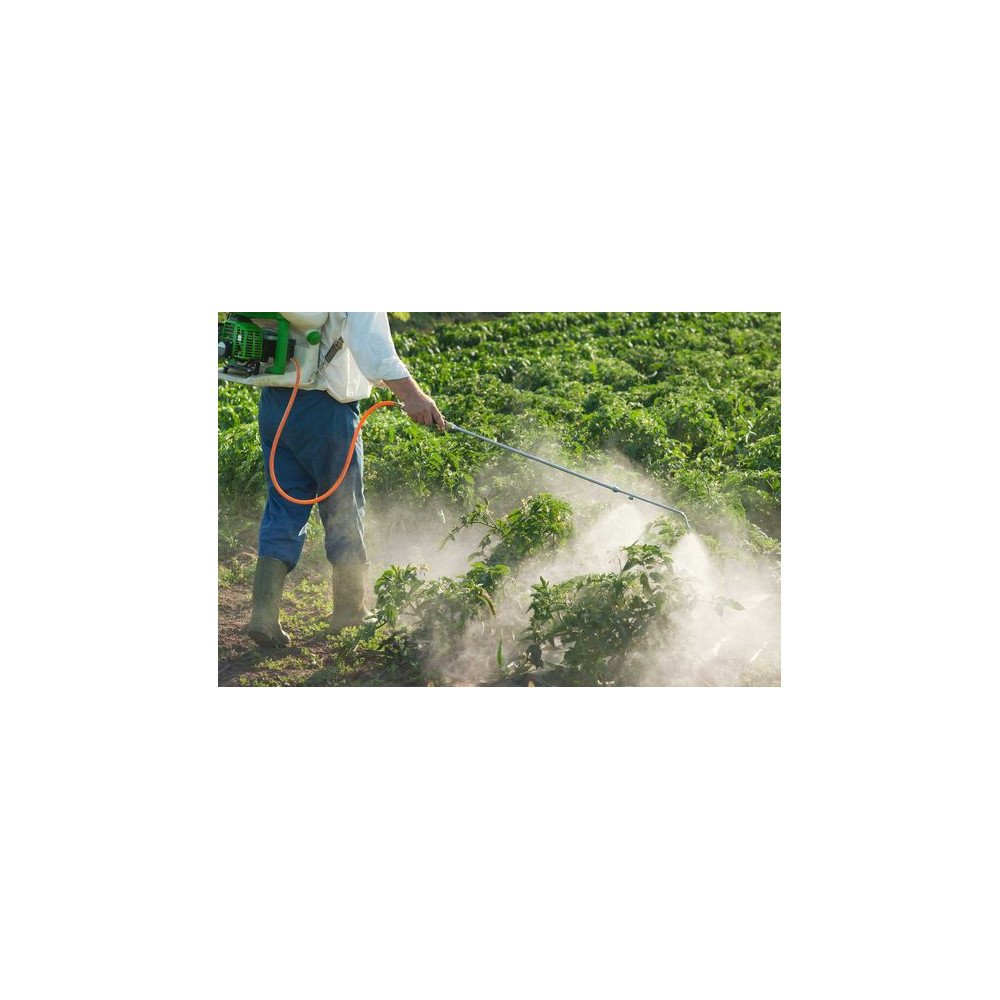 Pesticides Naturels Pesticides Naturels