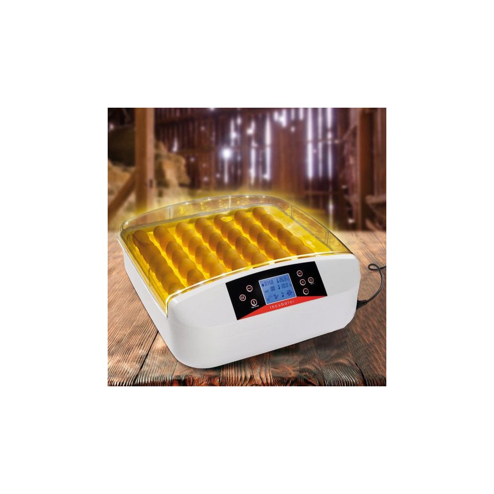 Incubateurs Automatiques Incubateurs Automatiques