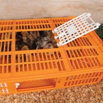 Couveuse de Transport pour Poussins