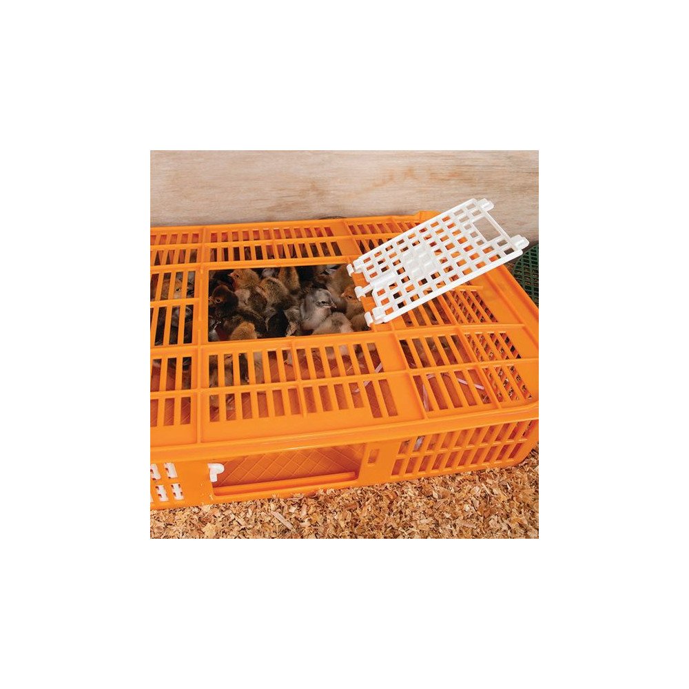 Couveuse de Transport pour Poussins Couveuse de Transport pour Poussins