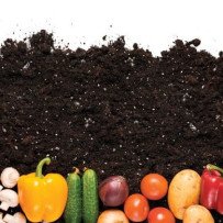 Amendement pour la culture des légumes