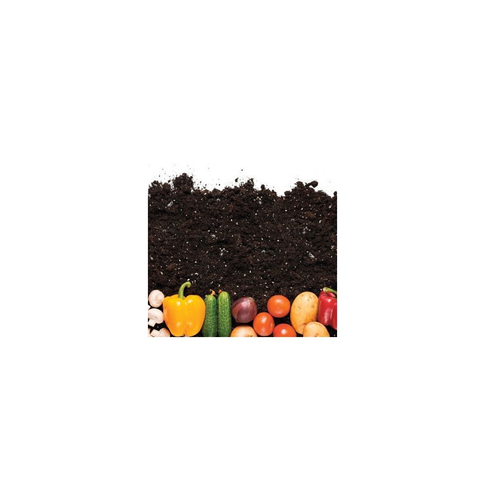 Amendement pour la culture des légumes Amendement pour la culture des légumes