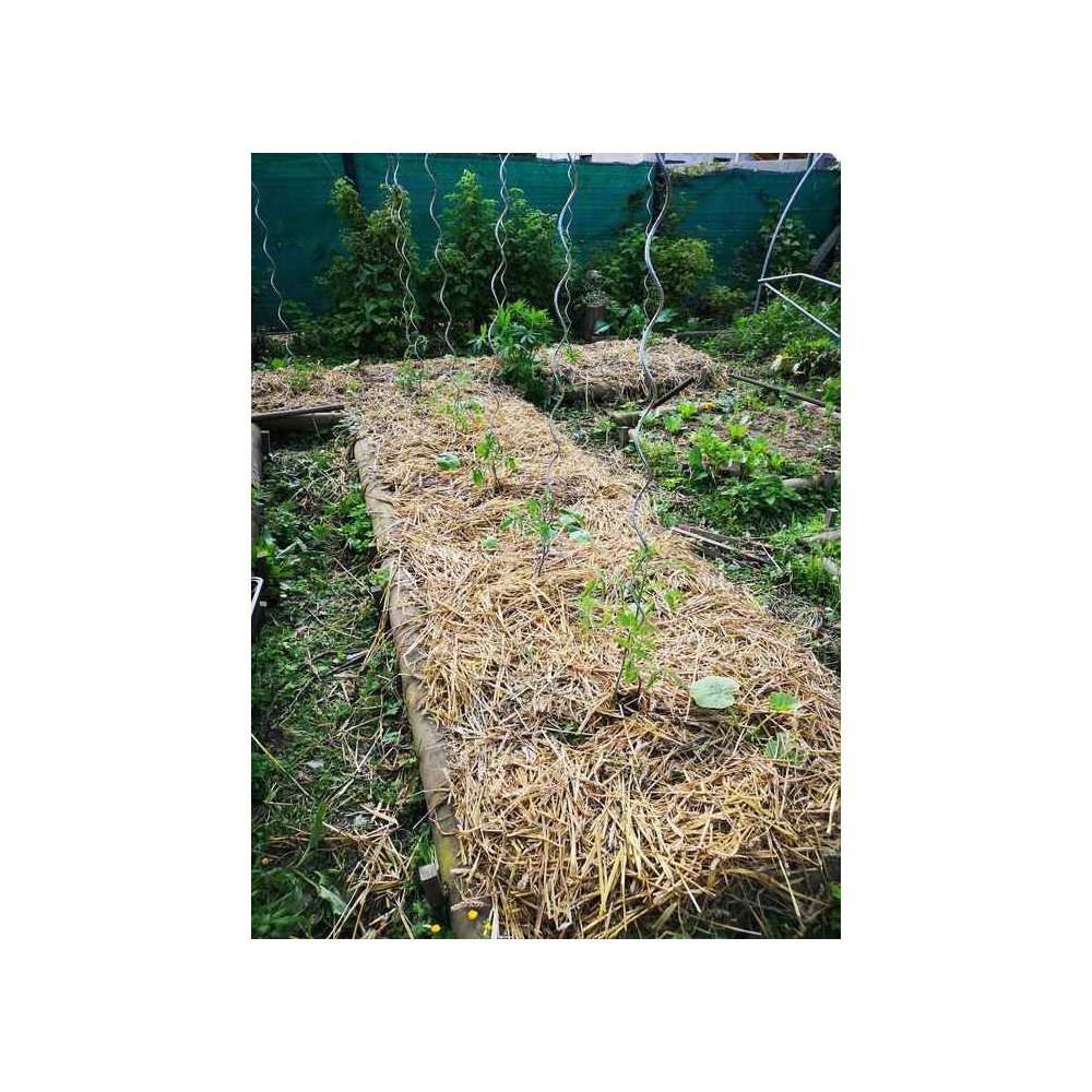 Amendement pour sols pauvres en potassium Amendement pour sols pauvres en potassium