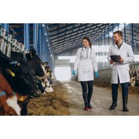 Compléments pour la Reproduction