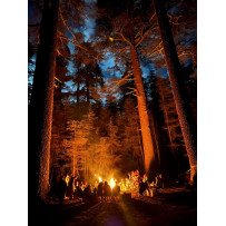 Séjours de bushcraft & primitive technology