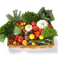 Panier Saisonnier Terre Verte