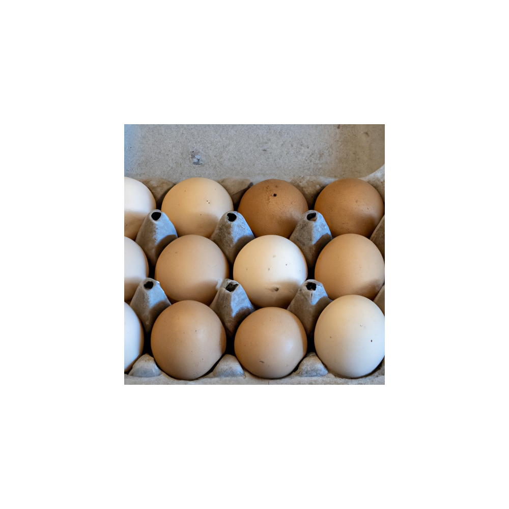 Oeufs Bio de Poules Élevées en Liberté