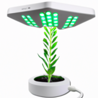 Lampe Horticole Réglable