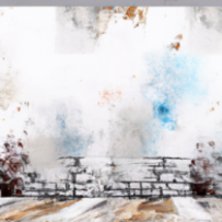 Peinture Murale Premium