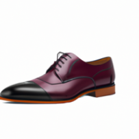 Les Souliers Signature