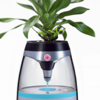 Vase Hydratant Automatique