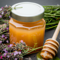 Miel de Thym du Rif