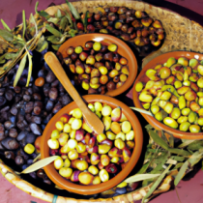 Olives de l'Atlas