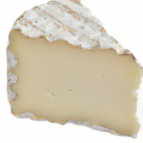 Fromage de Chèvre Bio
