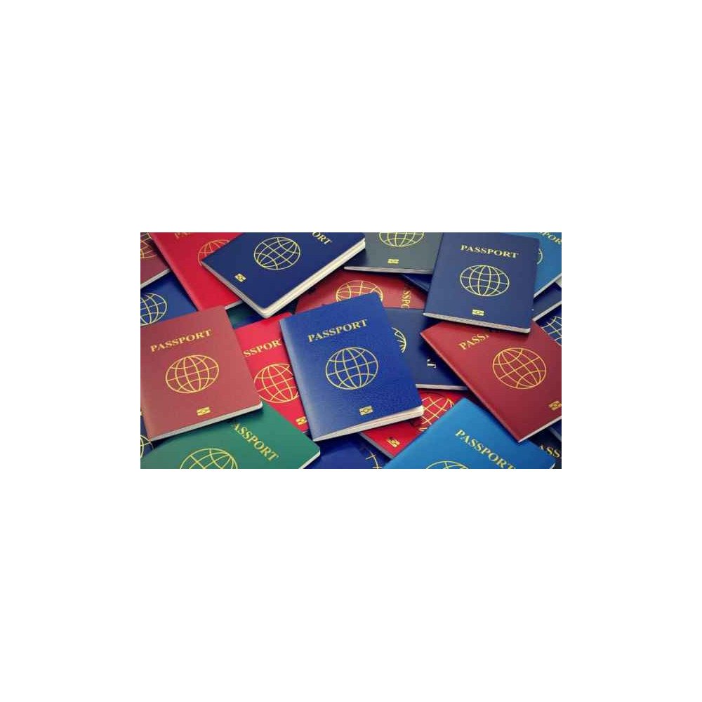 Passeport biométrique