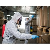 Appréhender le secteur des 3D (Dératisation, Désinsectisation, Désinfection)