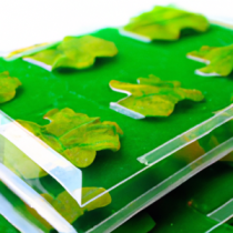 GreenWrap