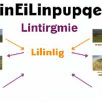 Parcours du Producteur