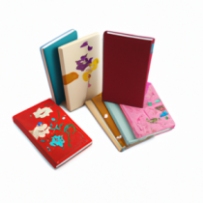 Carnet de Voyage Coloré