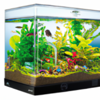 Terrarium Aquatique BioSphere