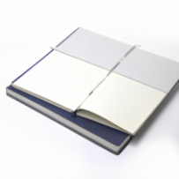 Cahier de l'Innovateur