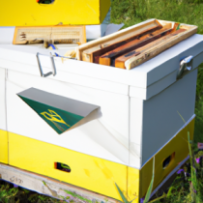 Ensemble de Démarrage pour Apiculteurs Juniors