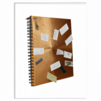 Journal de Réflexions Personnalisé