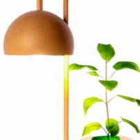 Lampe Sérénité Végétale