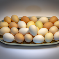 Œufs de Ferme Premium