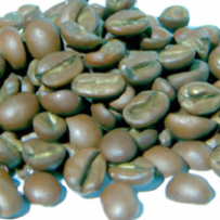 Café Éveil d'Atlas